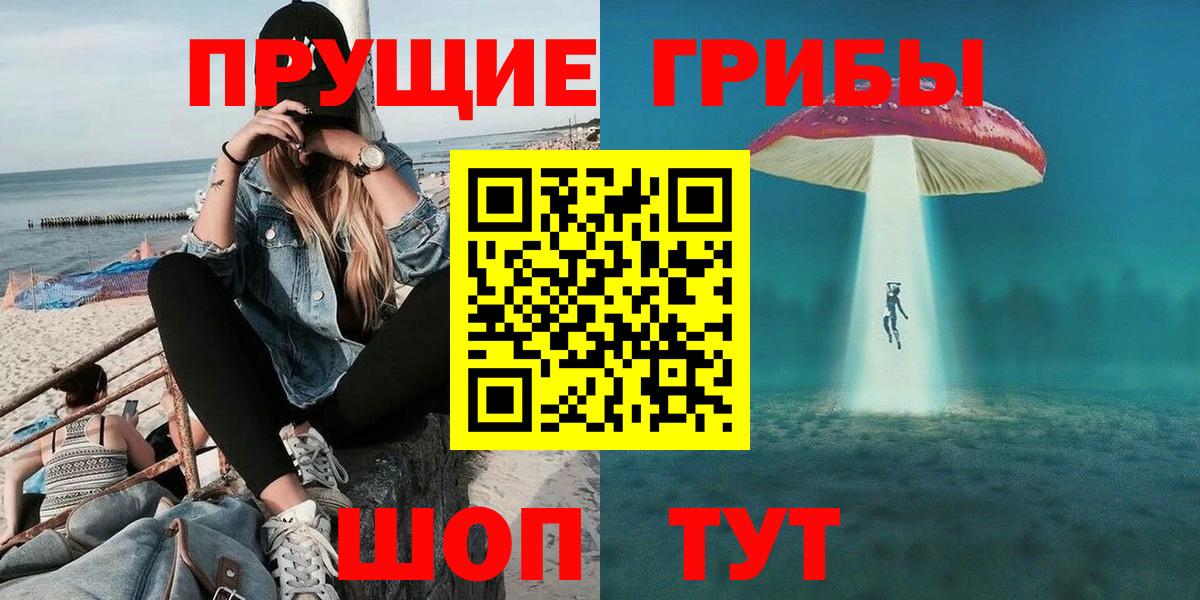 Псилоцибиновые грибы ЛСД  Вход с VPN  Новокуйбышевск  Галлюциногенные грибы Psilocybe 