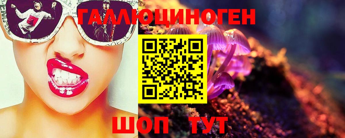 Галлюциногенные грибы Psilocybine cubensis Новокуйбышевск